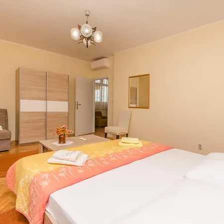 Apartment Goran Center *